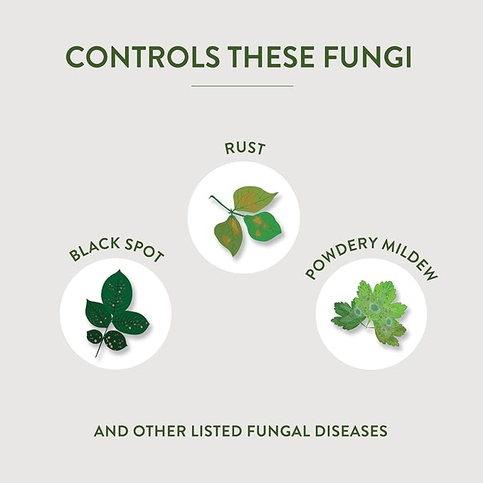 Garden Safe Brand Fungicide3 1 Gallon Fungicide Insecticide and Miticide with Neem Oil Extract for Organic Gardening Controls Black Spot Rust Aphids and Spider Mites
