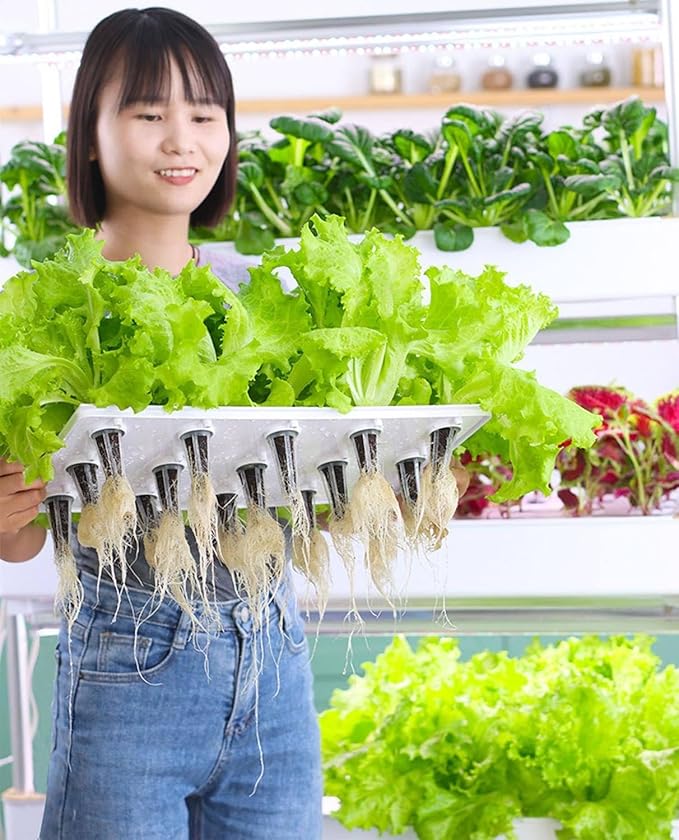 Indoor Garden Hydroponic Growing Hydroponic Vertical Tower Self-Watering Growing 48/64/90/120 Holes Hydroponics Tower Set with LED Grow Light for Planting Vegetables48hole