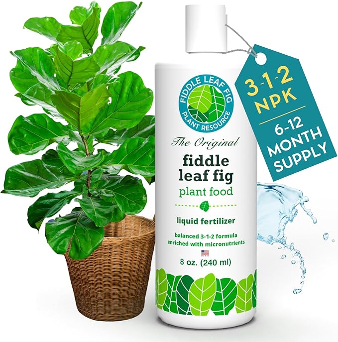 Fiddle Leaf Fig Plant Food – 3‑1‑2 Balanced NPK Liquid Fertilizer for Larger Leaves Stronger Roots &amp Steady Vibrant Growth | Suitable for All Ficus Including Ficus Lyrata | Made in USA | 8 oz