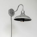 Hook Mounted Plant Light Full Spectrum 4500K 10W Adjusted Light Beam Range 15-60° Industrial Style Silver Plug in Wall Lamp for Flowers Growing Indoor Plants