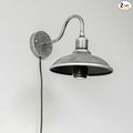 2-Pack Hook Mounted Plant Light Full Spectrum 4500K 10W Adjusted Light Beam Range 15-60° Industrial Style Silver Plug in Wall Lamp for Flowers Growing Indoor Plants