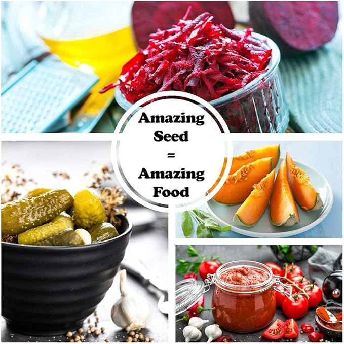 Instant Garden Heirloom Vegetable Seed Collection 15 Variety Non GMO Heirloom Garden Vegetable Herb Seeds - Tomato Pepper Lettuce Carrot Kale Basil &amp More