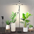Large Plant Lights for Indoor growing 24V 660nm-Enhanced Full Spectrum LM281B+ LED Grow Light Plant Light with Timer &amp Dimming Adjustable Height 22–70in 9.8in Base 28W 560μmol/s/m²@6in