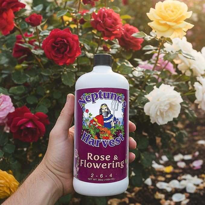 Neptune's Harvest Rose &amp Flowering Fertilizer (2-6-4) - 36oz Bottle - Organic Liquid Food for Vibrant Blooms &amp Growth - Promotes Healthy Foliage - Ideal Fertilizer for Indoor &amp Outdoor Use