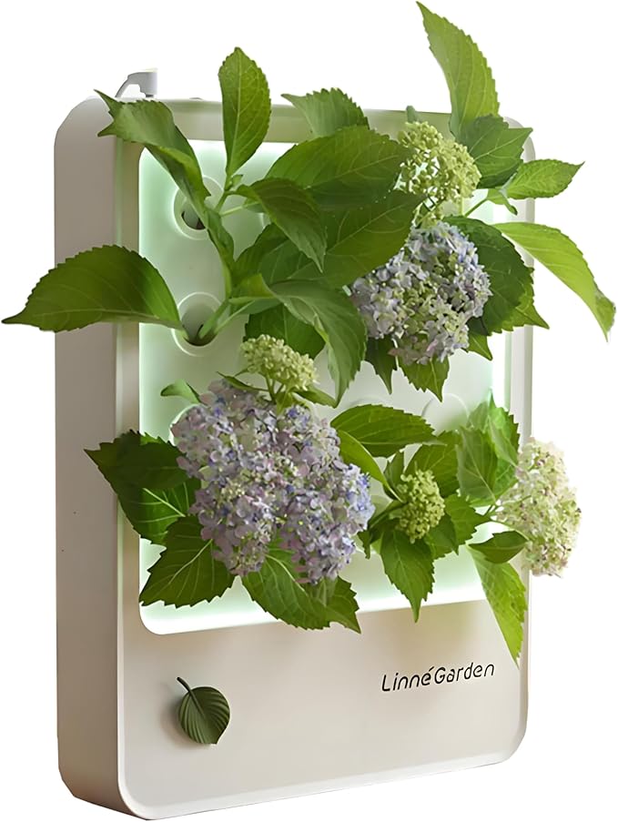 Indoor Hydroponic Growing System Desktop Herb &amp Vegetable Grow Light with LED Grow Lamp - Hydroponic Cultivation Harvest Lettuce (Gray)