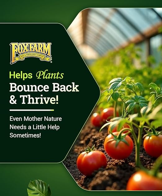 FoxFarm Bush Doctor Boomerang - 2-0.2-0.3 Comeback Formula - Microbial-Based Liquid Plant Fertilizer for Root Zone Support Immediate Nutrient Uptake - Helps Plants Recover from Abiotic Stress-1Gallon