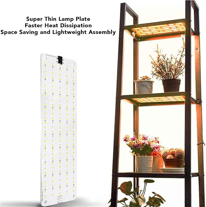 Panel Grow Light 12V 300LED Beads Blue and Red Lights for Plants Plant Grow Light with Timer 3H 6H 12H 6 Gears Brightness for Flowers Vegetables Fruits Indoors Greenhouses
