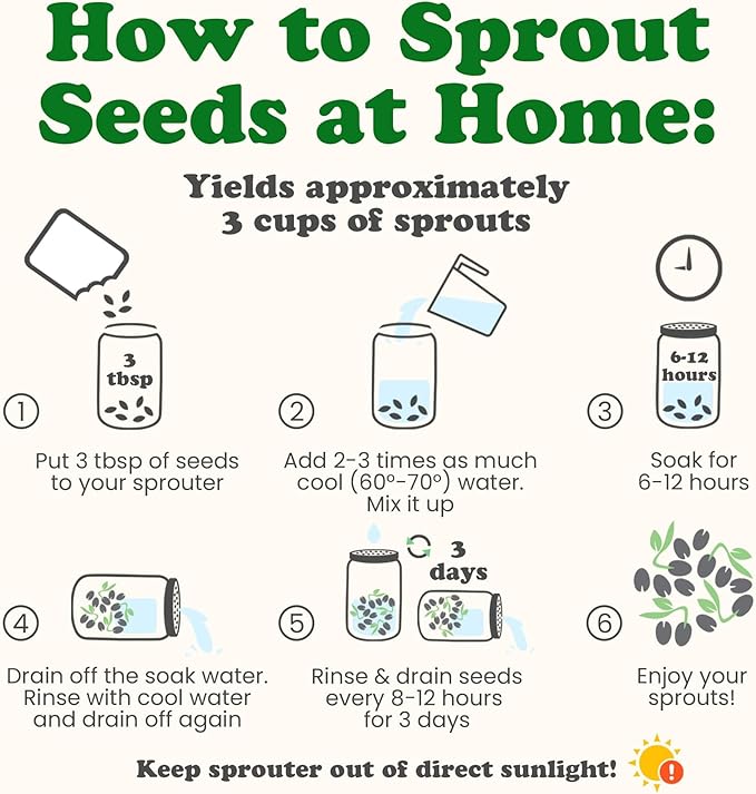 Food to Live Salad Mix of Sprouting Seeds 10 Pounds – Broccoli Clover Radish Alfalfa Kosher Raw Vegan
