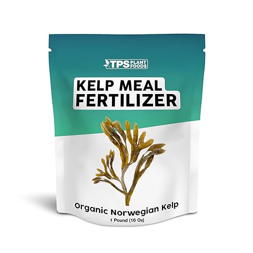 Organic Kelp Meal Fertilizer Dry Seaweed Granular for Plants and Gardening 1 lb (1 Pound)