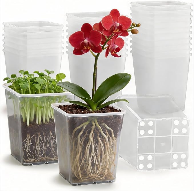 Nursery Pots 6 Inch 40 Pcs Plastic Seed Starting Pot with Drainage Holes Sturdy Seedling pots for Planting Cuttings Clear