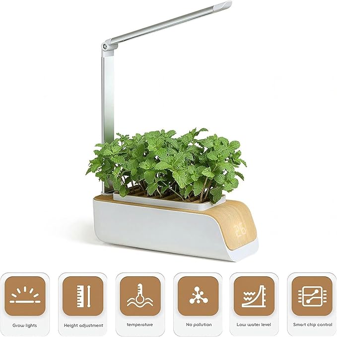 Hydroponic Systems Interior Plants Cultivation Lights Without Seasonal Restrictions Adjustable Height Interior Gardening Kit Suitable for Seedlings/Seeds/Succulents