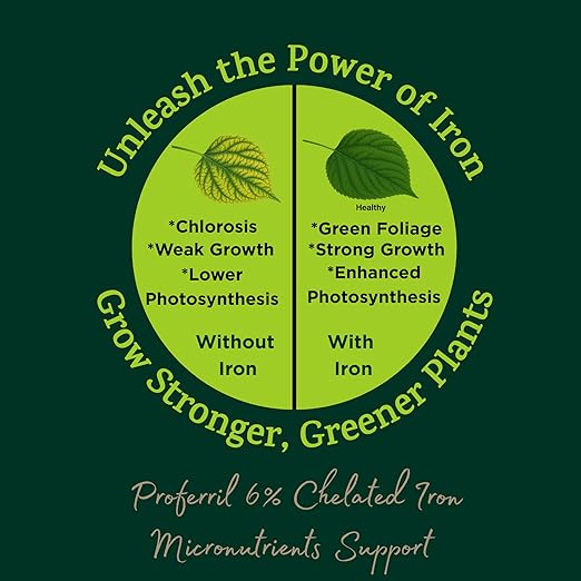 Seed Soil and More-Proferril 6% EDDHA Chelated Iron-100% Water Soluble Iron Chelate for Greener Plants - Corrects Iron Chlorosis &amp Yellow Leaves - for soils with ph Above 7 - Made in USA - 2 Pound