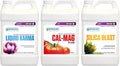 Botanicare GLCMBX0034 Liquid Karma Cal-Mag Plus and Silica Blast Gallon Combo