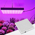 LED Plant Growth lamp75W Indoor Plant Growth Bulb red and Blue Full-Spectrum Plant lamp Suitable for Nurseries Horticulture hydroponics and greenhouses