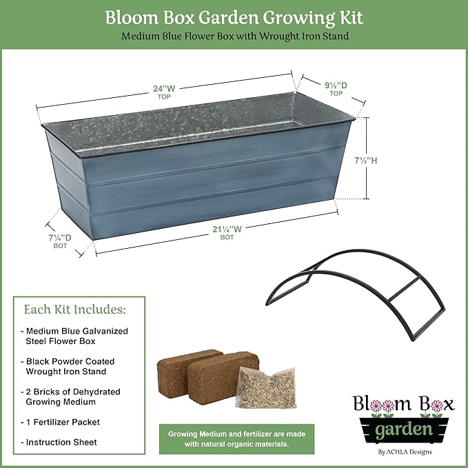 Bloom Box Garden Growing Kit Medium Blue with Odette Stand