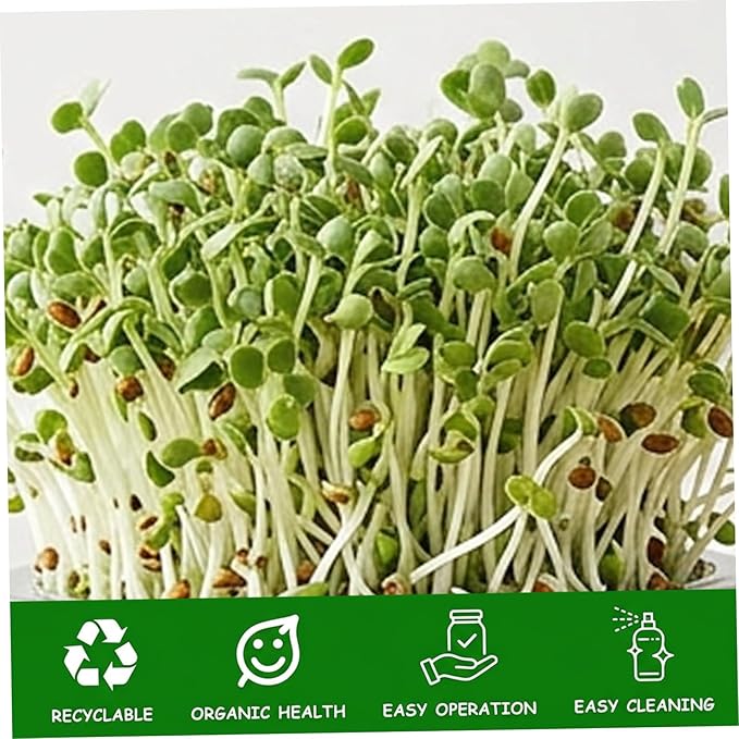 Sprouting Jar Kit Complete Seed Sprouting Jar Kit with Stainless Steel Stand &amp Drip Tray Easy Home Sprout for Microgreens Beans Broccoli.