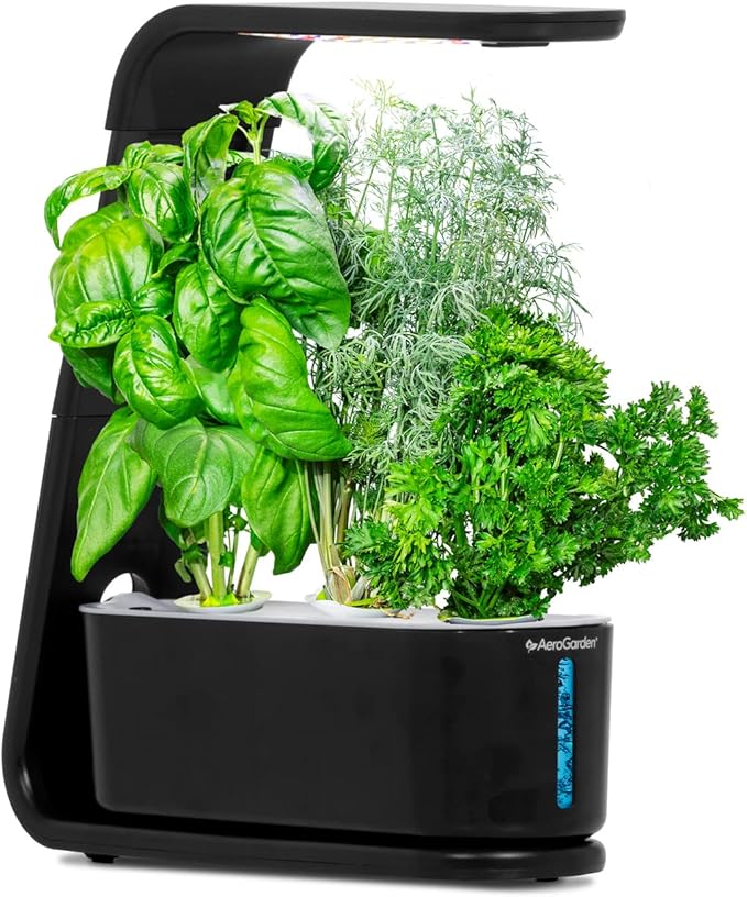 AeroGarden Sprout - Indoor Garden with LED Grow Light Black