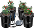 VIVOSUN DWC Hydroponics Grow System with Top Drip Kit 5-Gallon Deep Water Culture Recirculating Drip Garden System with Multi-Purpose Air Hose Air Pump and Air Stone (4 Buckets + Top Drip Kit)