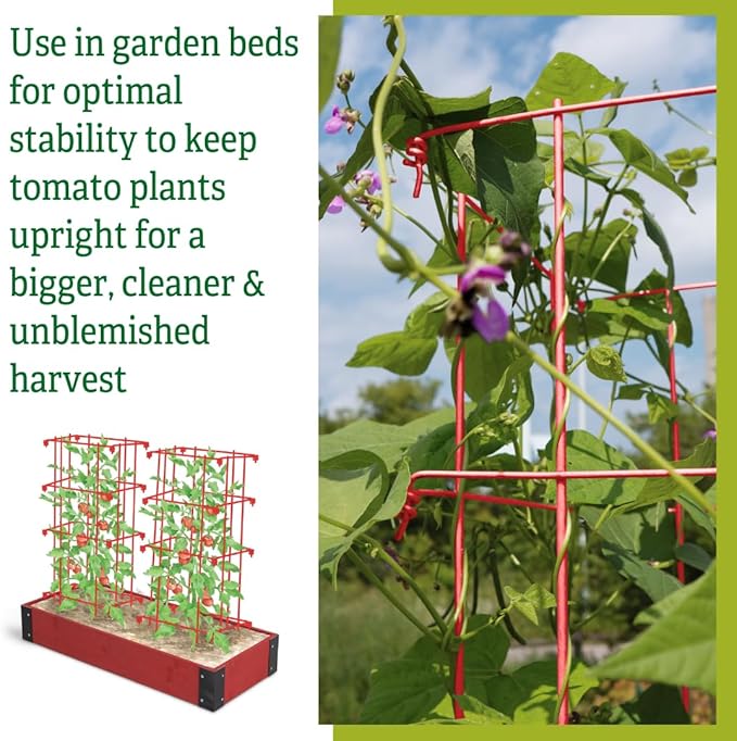 Gardener’s Supply Company Lifetime Tomato Cages | Heavy Gauge Sturdy Garden Plant Supports for Vegetables and Other Climbing Plants | No Assembly Needed - Red (Set of 4)
