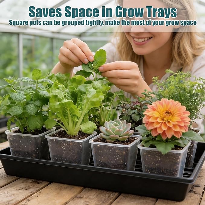 Nursery Pots 6 Inch 40 Pcs Plastic Seed Starting Pot with Drainage Holes Sturdy Seedling pots for Planting Cuttings Clear
