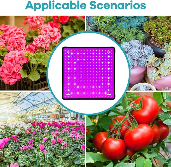 4 Pack 2000w Update New LED Grow Light Panel 256Leds Lamp for Indoor Plants Sun Like with White UV IR LEDs Grow Tent Greenhouse Veg and Bloom Seedlings Hydroponics Full Spectrum US Plug with Hook
