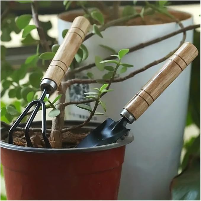 3pcs/Set Garden Tool Set Gardening Mini Succulent Plant Loose Soil Flower Gardenin