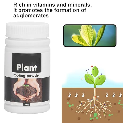 3PCS 3.5oz Rooting Powder Plant Fruit Rooting Powder Rooting Hormone Powderfor Indoor PlantsVegetablesFruit TreesBerriesFlowersTreesShrubs and Ornamental Plants