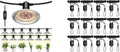 VIVOSUN Outdoor LED Grow Lights and 6-Pair 1/8 Inch Adjustable Grow Light Hanger Heavy Duty Rope Hanger with Reinforced Metal Gears 8Ft. Long and 150 lbs Weight Capacity Rope for Grow Light