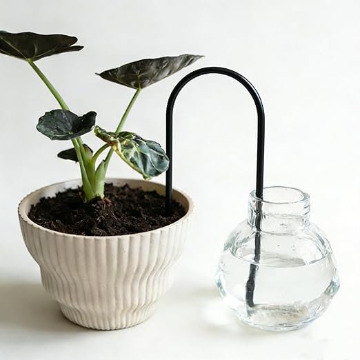 Self-Watering Plant Wick System Brass and Cotton U-Shaped Automatic Drip Irrigation for House Plants 12 Inch Black