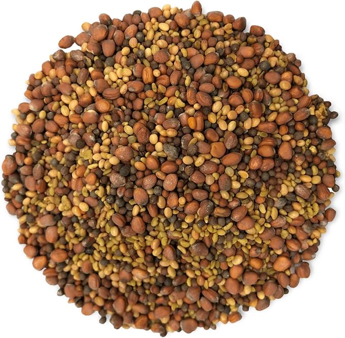 Food to Live - Salad Mix of Sprouting Seeds 3 Pounds Broccoli Clover Radish Alfalfa Kosher Raw Vegan