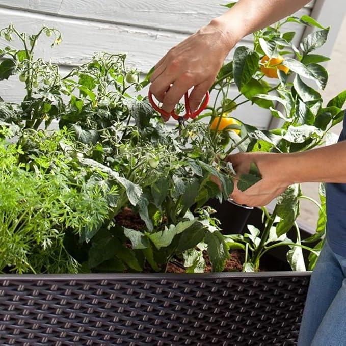 31.7 Gallon Elevated Resin Garden Bed with Self-Watering - Brown