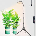 2026 Grow Light on Stand for Indoor Tall Plants Bonsai Tree Bright Natural Sunlight Full Spectrum 4/8/12/16/20H Timer 25 Watt Power Draw NO Need Adapter 24-64 Height Adjustable