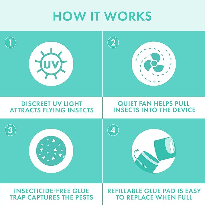 STEM Flying Insect Fan Trap for Indoor Bug Control Attracts Mosquitoes Fruit Flies and House Flies Plug-in Fan with UV Light Starter Kit Includes 2 Devices and 10 Glue Traps