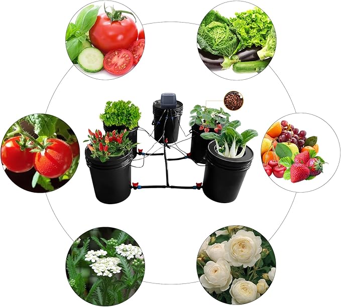 Hydroponics Growing System Kit5 Gallon Auto Watering SystemDeep Water CultureRecirculating Dripfor Indoor PlantsGrow Tents