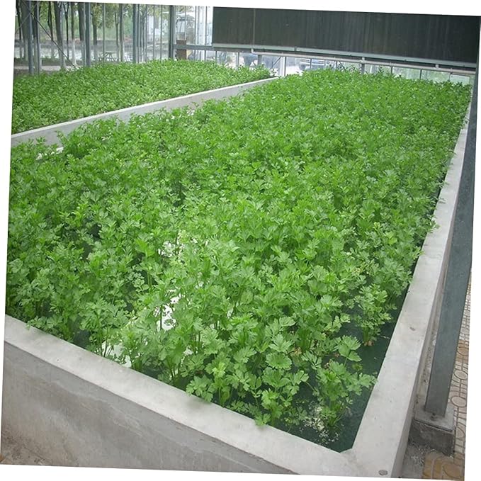 GALPADA Planting Tray Includes Cylinder Sponge Cups and Planting Baskets Hydroponic Floating Gardening for Greenhouse Vegetable Cultivation