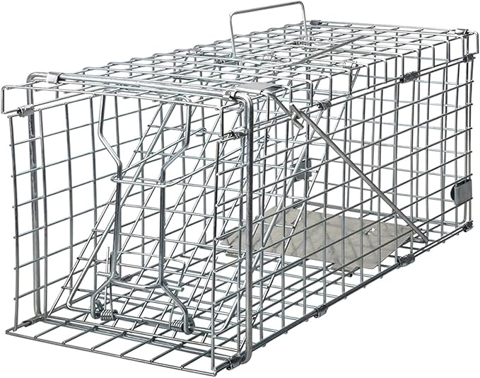 Gingbau Squirrel Trap Foldable Heavy Duty Humane Live Animal Cage Trap (Not for Mouse)
