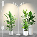 Large Plant Lights for Indoor Growing 24V 660nm-Enhanced Full Spectrum LUMILEDS LED Grow Light 2×6.3in Grow lamp with Timer &amp Dimming Adjustable Height 22-70in 30W 320μmol/s/m²@6in K30-W