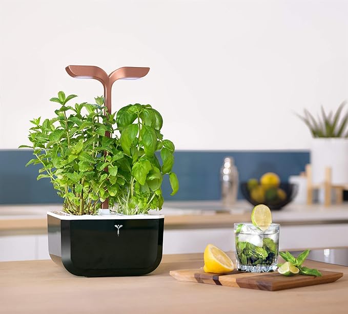 Veritable Exky Smart Indoor Garden Black Copper