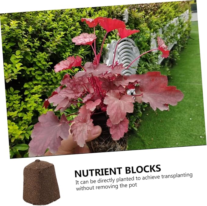 Happyyami 60pcs Rapid Breeding Plant Growing Blocks Moisturizing and Fat-retaining Starter Cubes for Home Factory Use