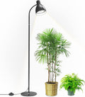 Bstrip Grow Light Lamp 5000K Full Spectrum 25W LED Grow Light for Indoor Plants - 55 H Stand Adjustable Angle with On/Off Switch