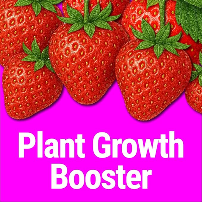 Seedlingers Super Yield Flower &amp Garden All Purpose Plant Food 320 oz 2.5 Gallon Concentrate