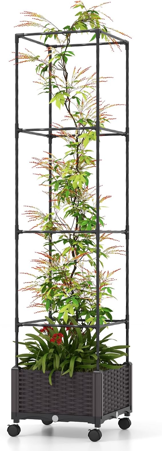 S AFSTAR Raised Garden Bed with Tomato Cage 67 Planter Box W/Trellis &amp Lockable Wheels Free Height Combination Self-Watering Plastic Garden Box Plant Container for Climbing Plants Vegetable (1)