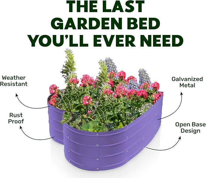 Plant &amp Plot Galvanized Raised Garden Beds Outdoor // Planter Raised Beds for Gardening Vegetables Flowers // Large Metal Garden Box (Purple) // Patent Pending Tool-Free Assembly