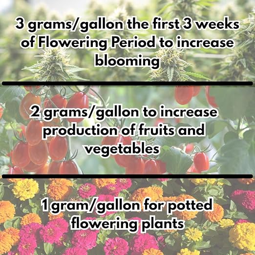 Bloom Booster - Flower Fertilizer for Indoor and Outdoor Plants - Blooming Promoter - Potted Plant Food - Water Soluble Flower Fertilizer - for Roots and Flowers - Tech Grade Raw Materials (3lb)