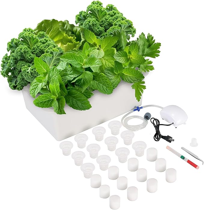 Hydroponics Growing System Kit with Air Pump Bubble Stone 12-Hole Indoor Hydroponic System Grow Box Indoor Gardening System &amp Hydroponic Kit Vegetable &amp Herb Garden Starter Kit