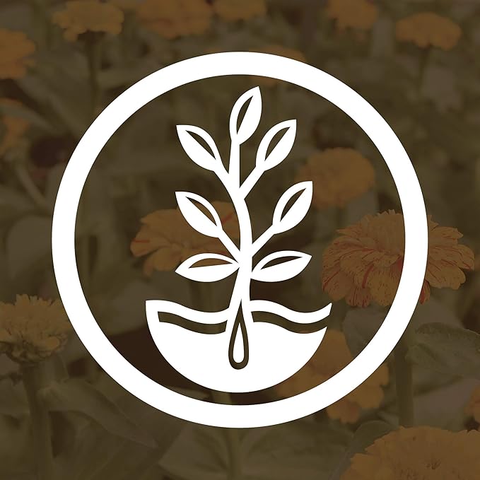 No-Till Farm and Garden Cover Crop Mix Seeds - 25 Lbs Bulk - Blend of Gardening Cover Crop Seeds: Hairy Vetch Daikon Radish Forage Collards Triticale More