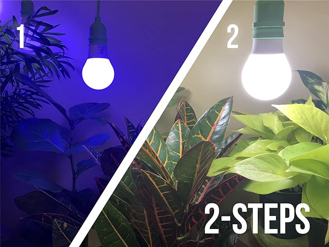 Miracle LED Plant Life Cycle 3-Socket Synchronized Grow Light Kit with 3 Blue Spectrum and 3 Full Spectrum Multi-Plant Bulbs with Sproutmatic Timer Controls (2 Pack)