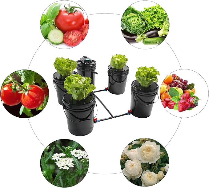 DWC Hydroponics System5.28 Gallon 5 Buckets Deep Water Culture Hydroponic Bucket Kit with Air Pump Recirculating Hydroponic System Grow Kit for Indoor Cultivating Tomatoes Peppers Vegetables Black