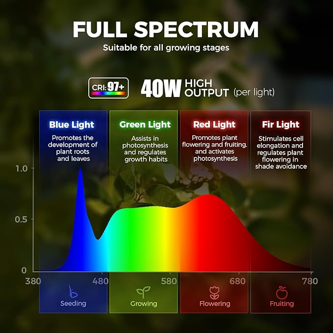 Barrina TR40c Track Grow Light for Indoor Growing 3 x 40W 15°-60° Adjustable Beam Angle 4000K Ceiling Mount Full Spectrum Grow Lamp LED H-Type Plant Light Bulbs for House Plants with Timer Blcak