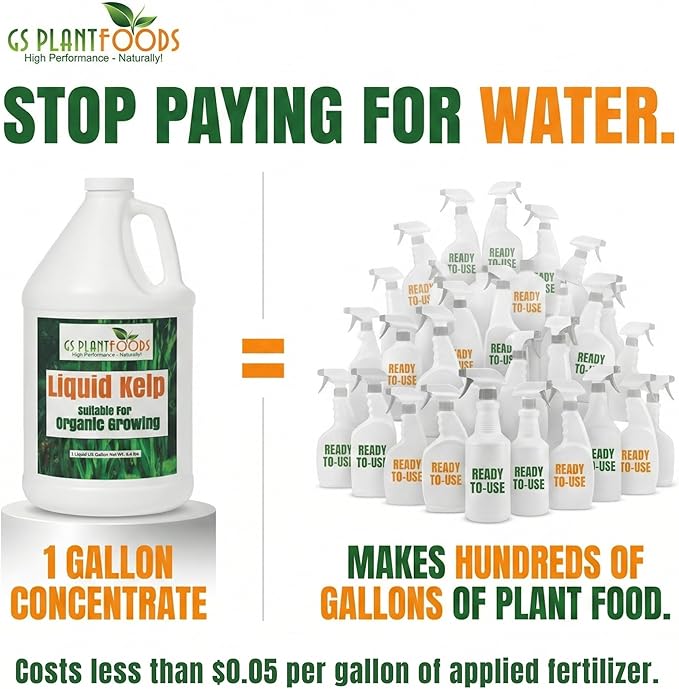 GS Plant Foods Liquid Kelp Fertilizer – Suitable for Organic Growing OMRI Listed Seaweed Concentrate for Lawns Gardens &amp Soil - 55 Gallons